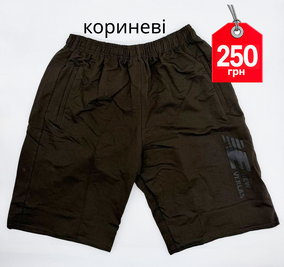 Чоловічі шорти коричневі 87 фото